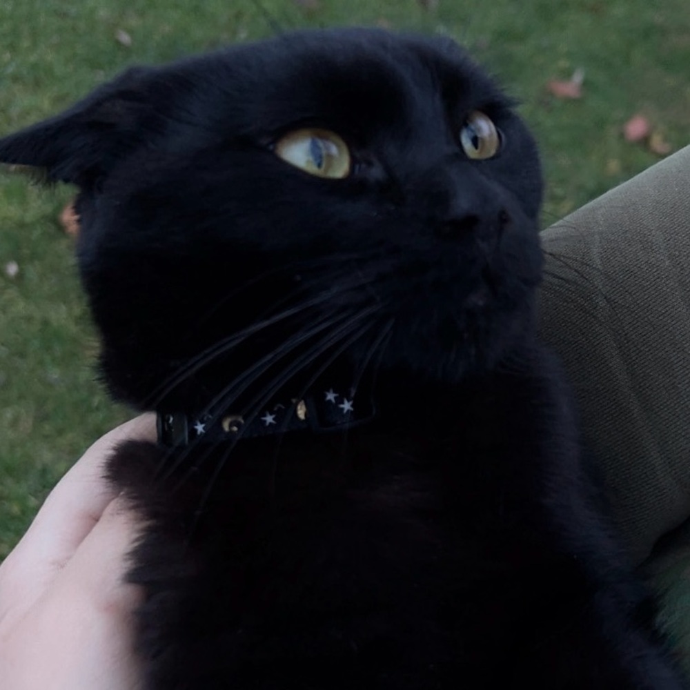 Meet your Posher, Mimi